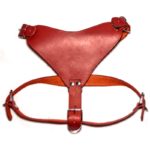 pechera vaqueta