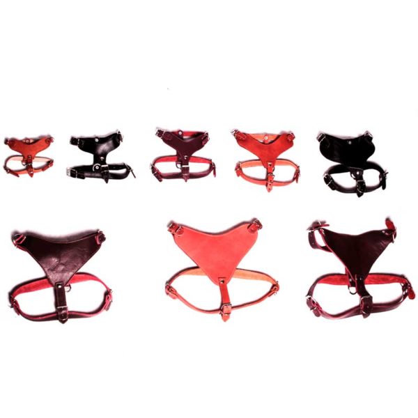 PECHERA