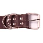 collar chocolate