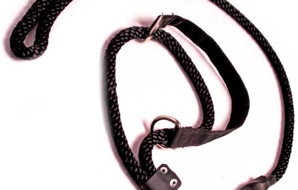 CORREA NYLON CON COLLAR DE CASTIGO